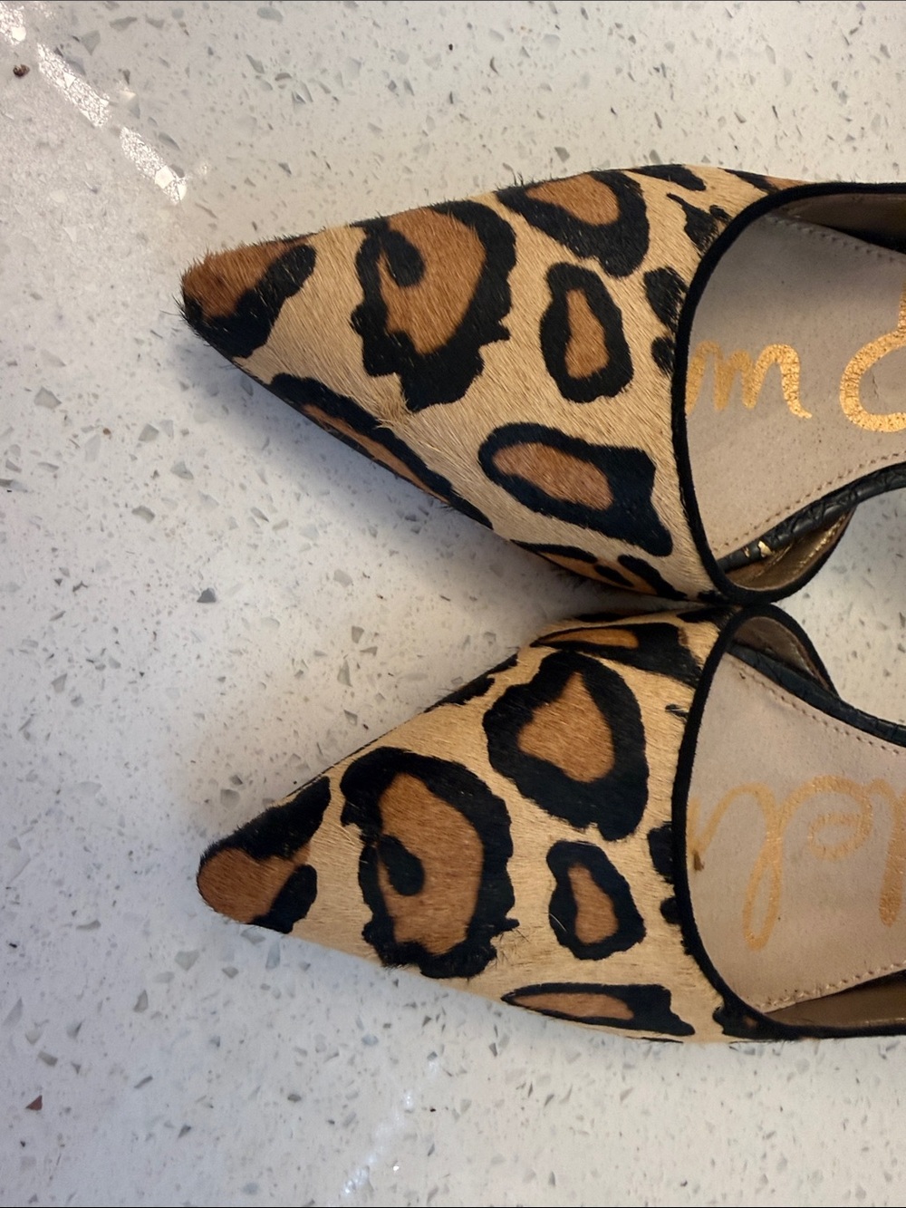 Sam Edelman Leopard-Print Pointed Toe Pumps - Tan & Black - Picture 5 of 5